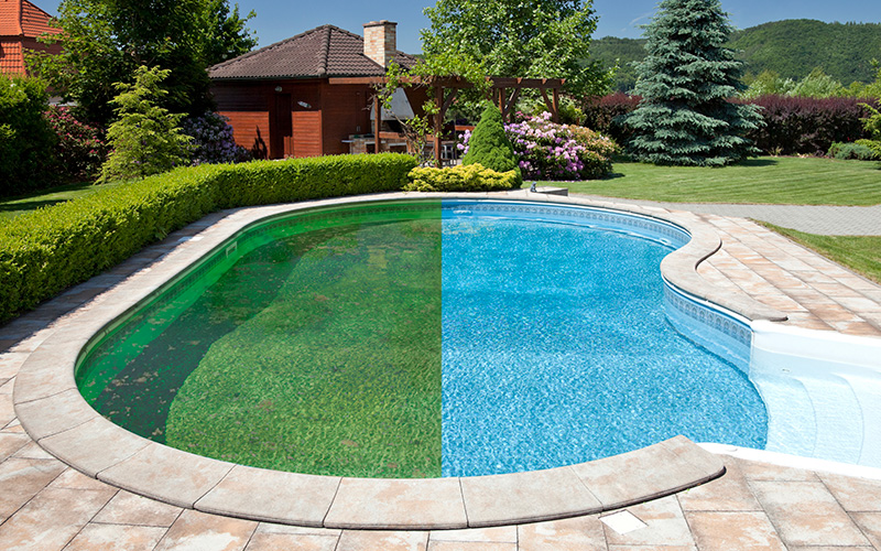 Apa verde in piscina. Alge.