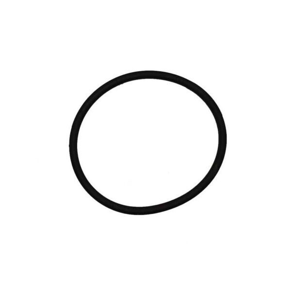garnitura o ring 93x6 proiector hayward