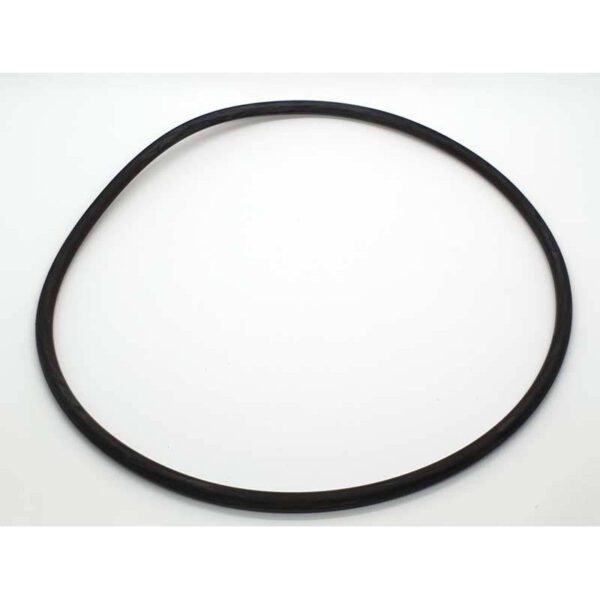 garnitura o ring pentru filtru starclear plus c900